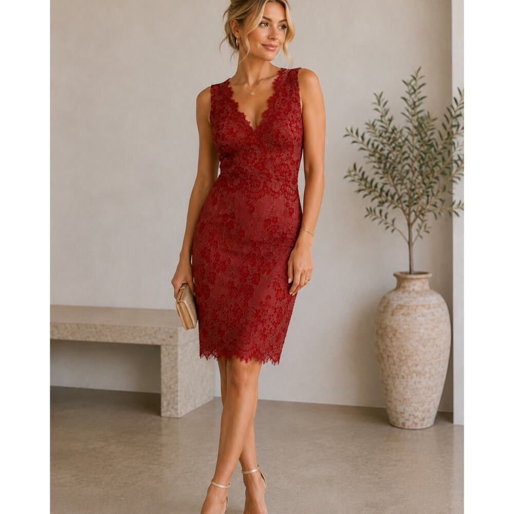 Erin Featherstone Red Lace Sleeveless Sheath Dress Womens 2 Designer Knee Length